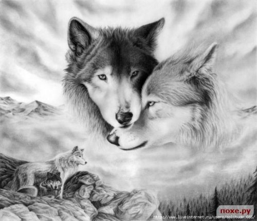 №134, Дима Холод №134, Дима Холод