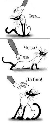 Евгения Тепляшина *Mayoko* | Ижевск