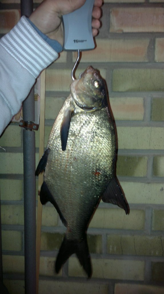 Илья Иииииииии | Санкт-Петербург