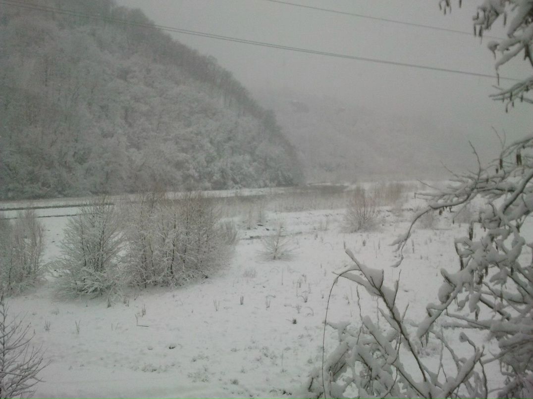 Евгений Кириченко Jonsan | Сочи