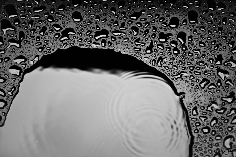 Milk It | Москва