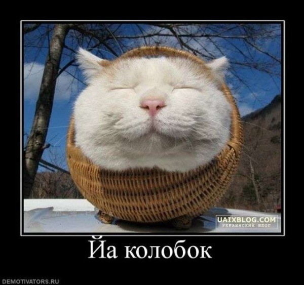 №53, Татьяна Кононенко, 39 лет №53, Татьяна Кононенко, 39 лет