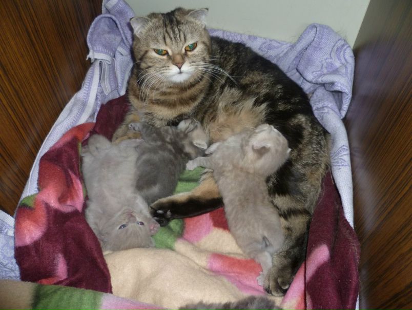 №25, Лусинэ Кияткина, 49 лет, Кумертау №25, Лусинэ Кияткина, 49 лет, Кумертау