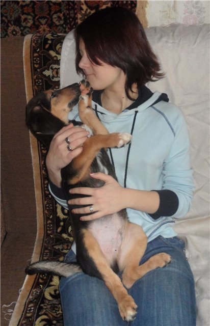 Нимфа Рыжая | Саров