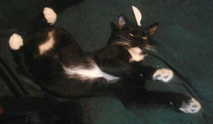 Александр Папазян -{=>Assassin<=}- | Санкт-Петербург