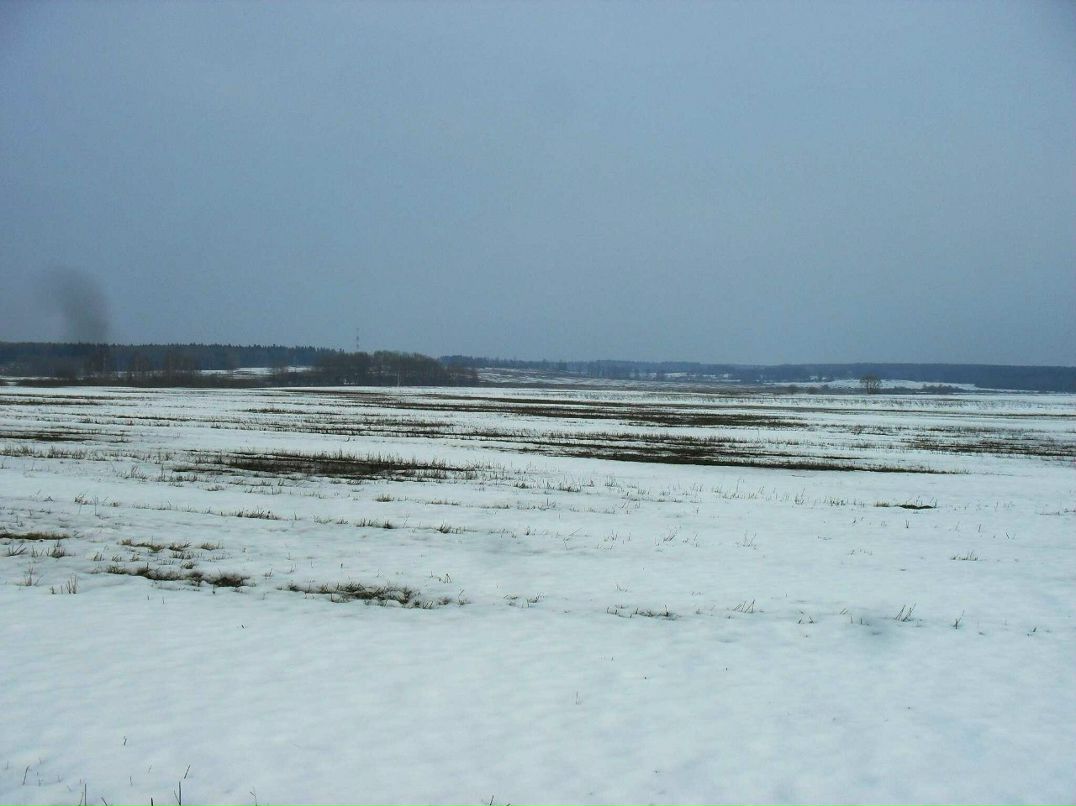 Максим Смирнов | Можайск