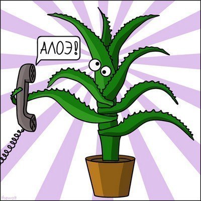 Анатолий Яворский | Запорожье