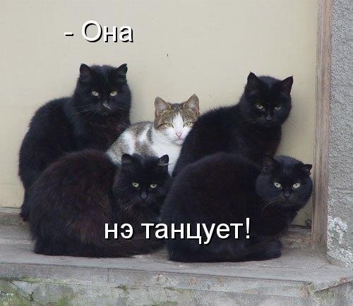 Ekaterina Moilanen | Малгобек