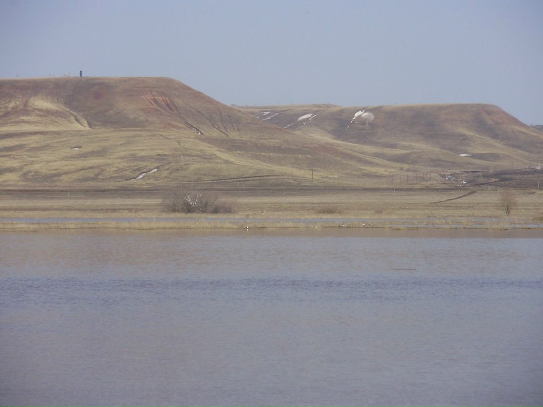 Айдар Миннекаев | Альметьевск