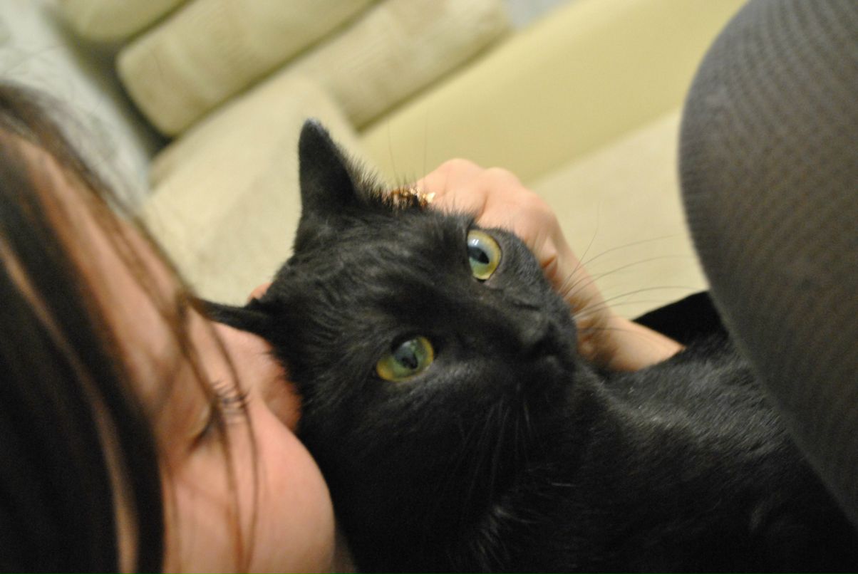 Эльвира Ханбекова | Нижневартовск