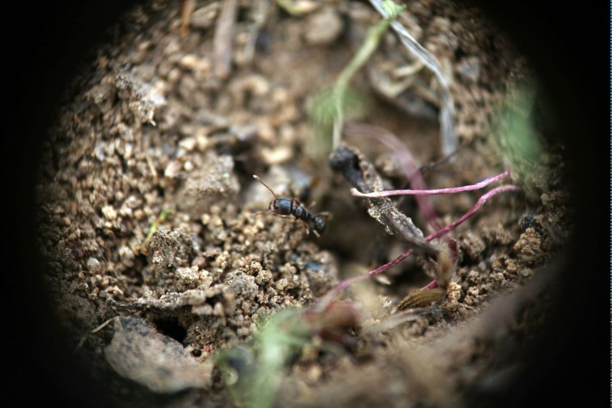 Олег Логвинов | Самара