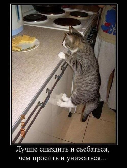 Алёна Глубокова | Копейск