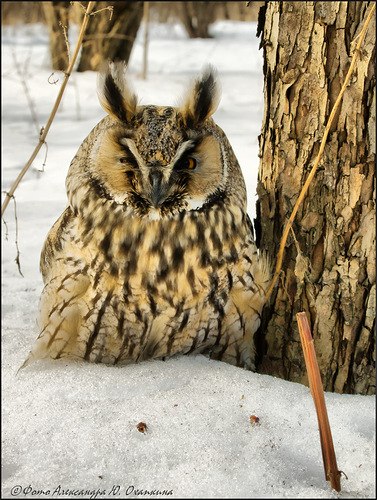 Вячеслав Соломанников Михайлович | Москва