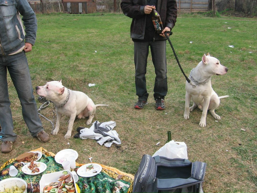 Вадим Вадимов | Минск