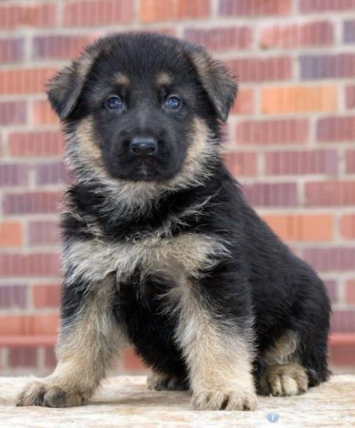 Гузель Ишбулатова | Уфа