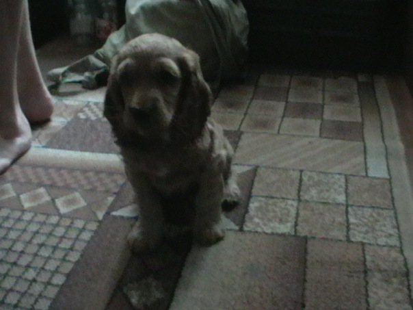 №3, Даша Шевченко, Пирятин, Украина №3, Даша Шевченко, Пирятин, Украина