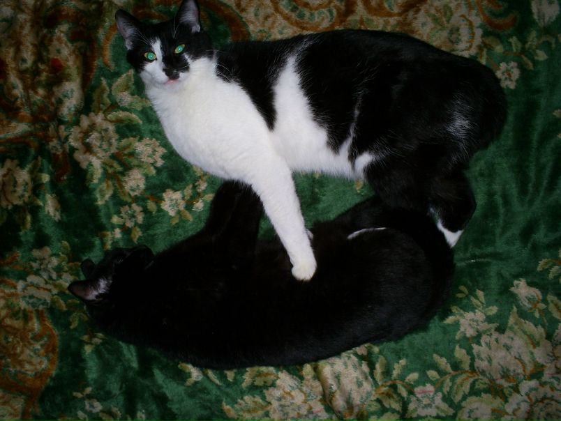 №14, Андрій Девіс, 35 лет, Киев №14, Андрій Девіс, 35 лет, Киев