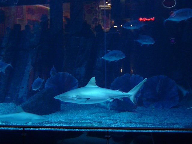 Евгения Тетерева | Москва