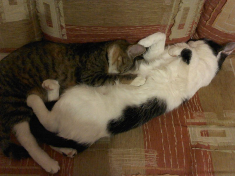 Лилия Козлова | Набережные Челны