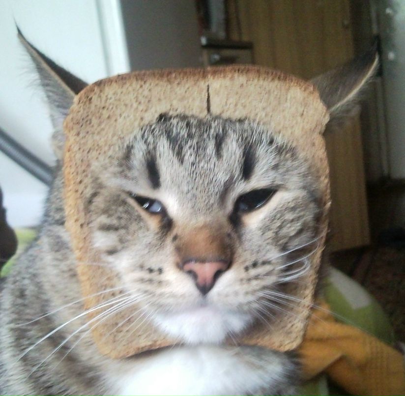 Анюта Пилицына | Казань