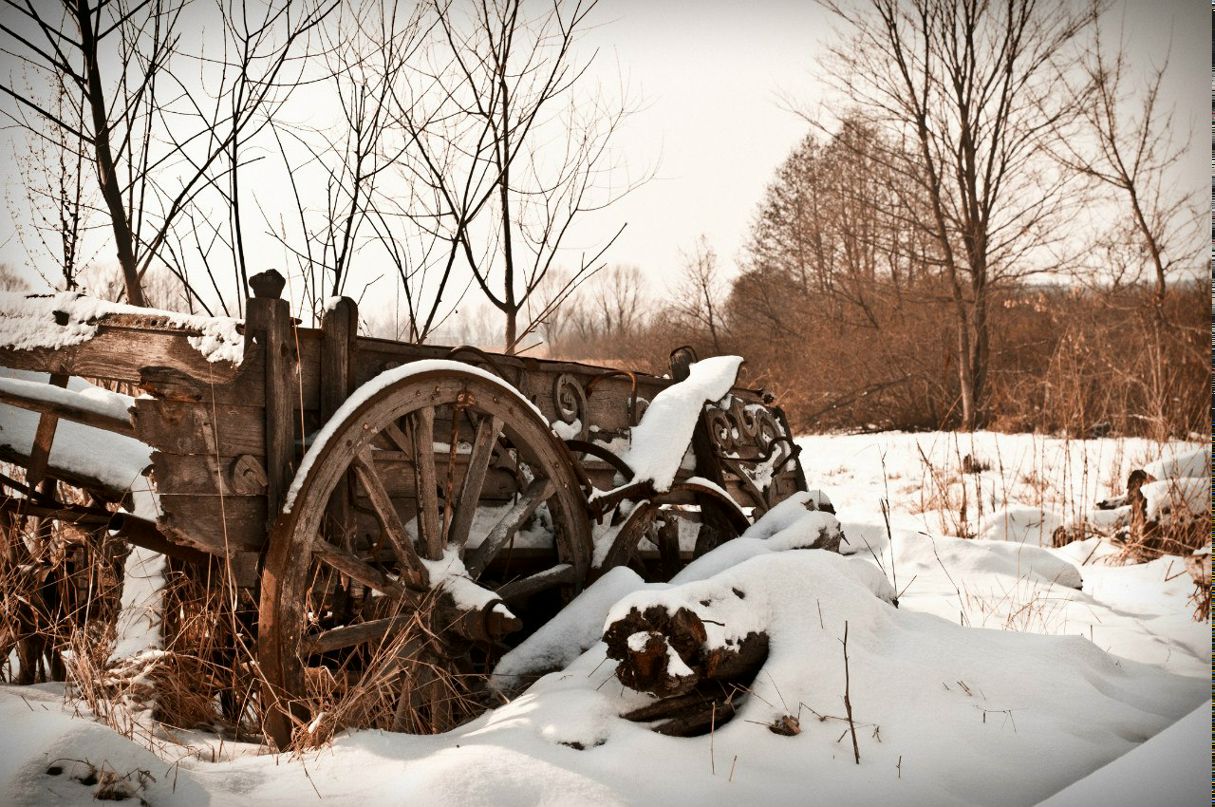 Антон Работницкий Валерьевич | Харьков