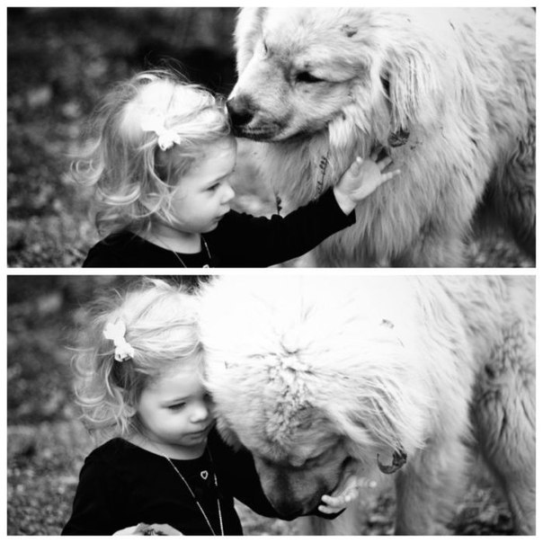 Мария Шишенок | Брянск