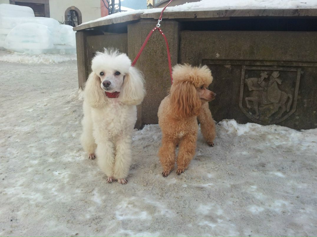 Ксения Артемьева | Москва