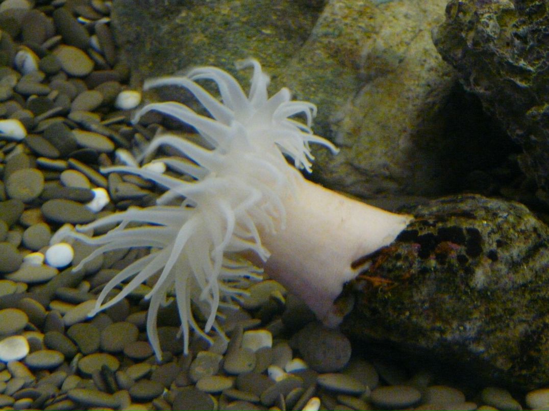 Ольга Колесникова | Воронеж