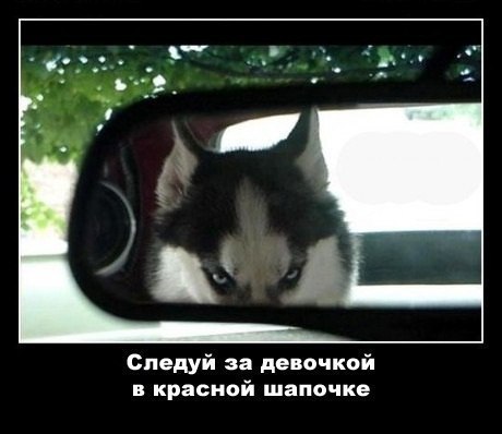 Стеша Токарева St. Apple | Одесса