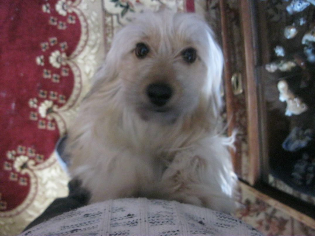 Артем Шапошников | Санкт-Петербург