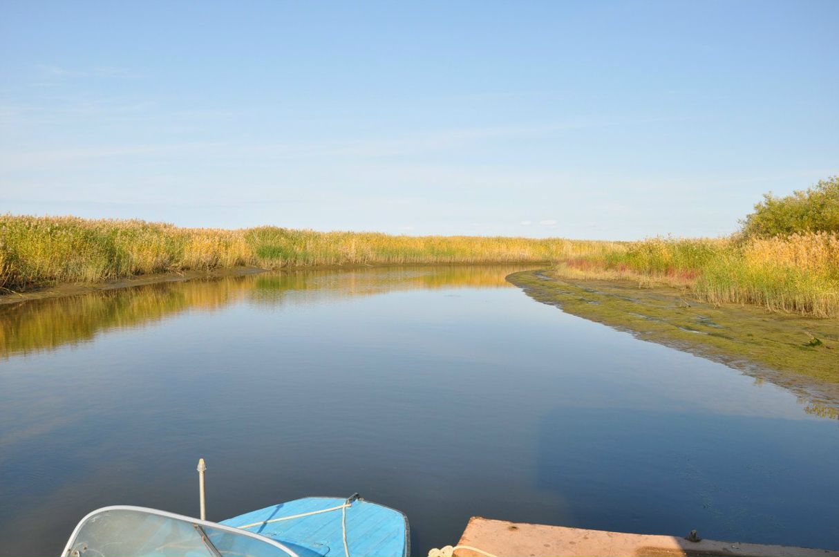 Марк Герценштейн | Архангельск