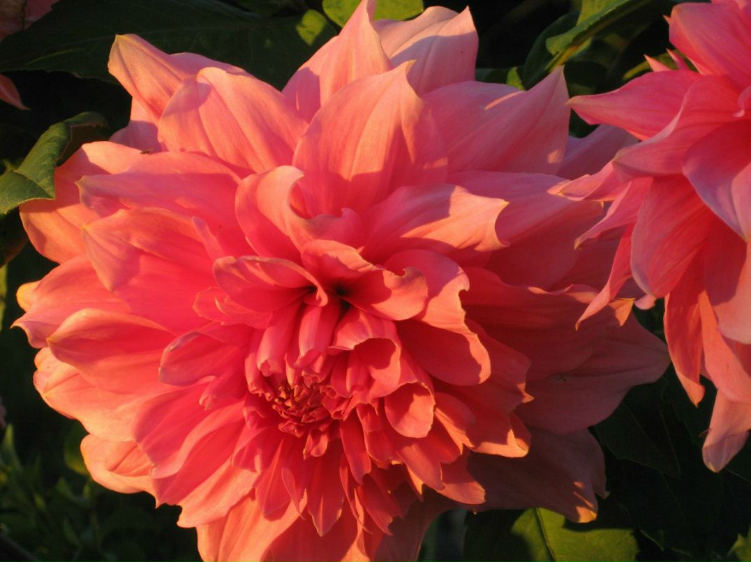 Оксана Гончарова | Санкт-Петербург