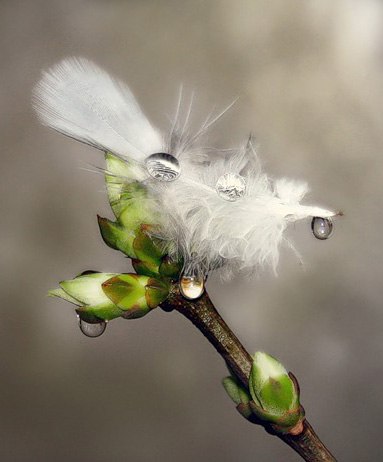 Девочка Припевочка | Харьков