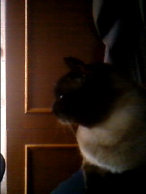 Anastasiya Andreevna | Санкт-Петербург