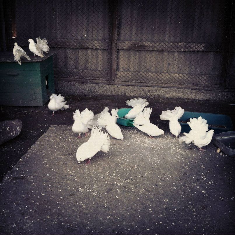 Татьяна Милимко | Одесса