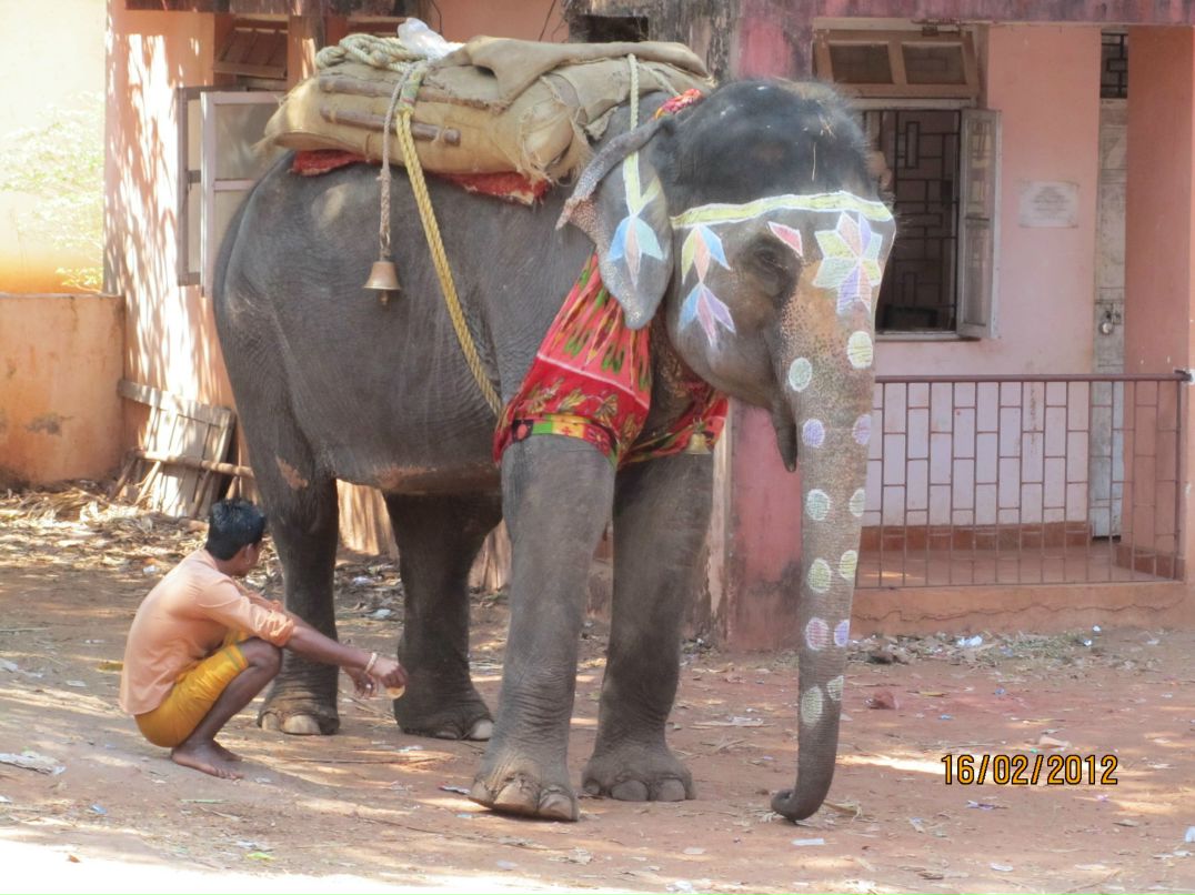 Анна Друщенко | Москва