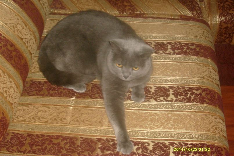 Лёха Очеев | Йошкар-Ола