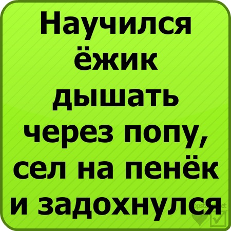 №3, Анюта Мачнева №3, Анюта Мачнева