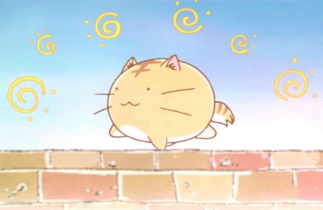 Игорь Нечвоглод | Сумы