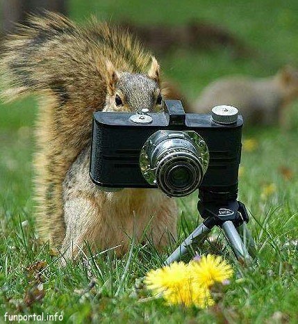 Жанна Броздниченко | Санкт-Петербург