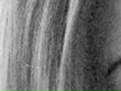 Алина Ярошенко | Новоукраинка