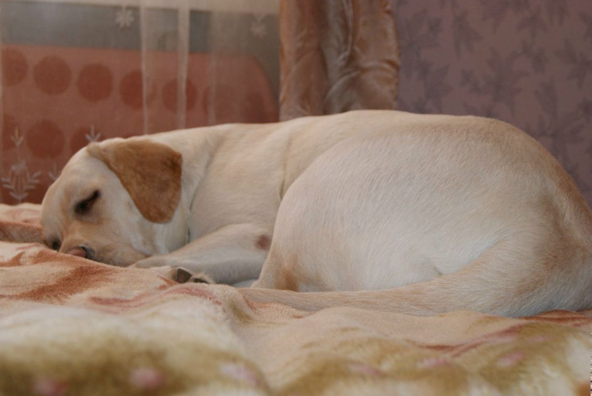 Женя Данилова | Вологда