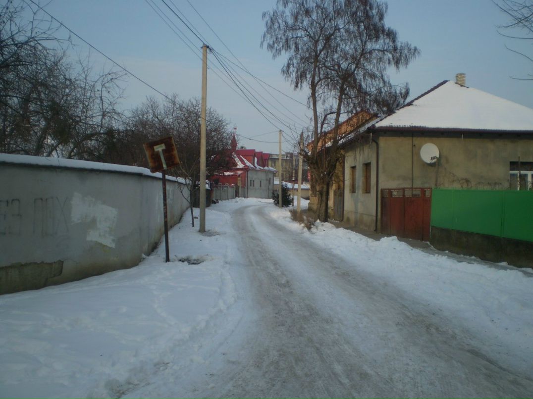 Григорий Анк | Берегово