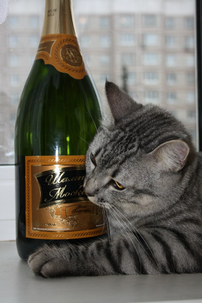 Лариса Молодкина | Москва