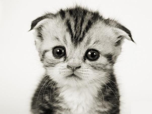 Ника Аристархова | Ростов-на-Дону