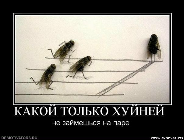 №25, Антон Белюсенко, Киев №25, Антон Белюсенко, Киев