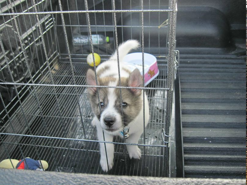 Тим Бешинкенов | Караганда