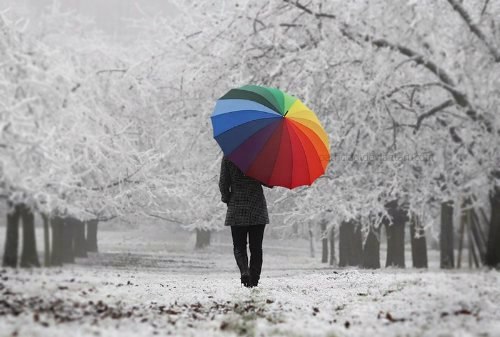 Диана Стешенко | Луганск