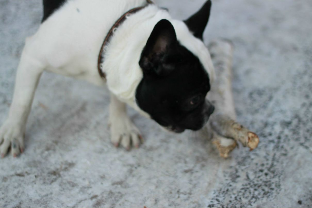 Иван Наумов | Тюмень