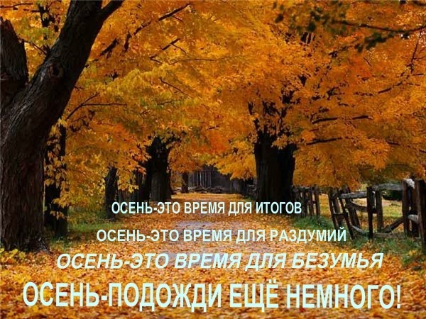 №24, Семён Клягин, Клинцы №24, Семён Клягин, Клинцы